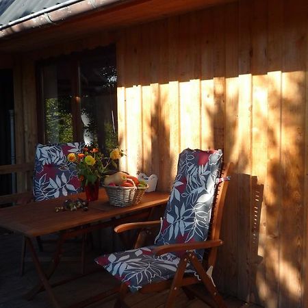 Ferienwohnung Tischneck Schramberg Oda fotoğraf