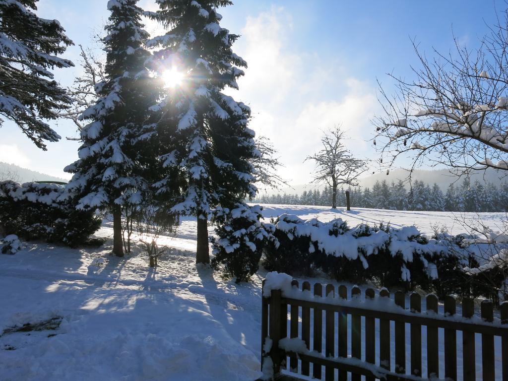 Ferienwohnung Tischneck Schramberg Oda fotoğraf